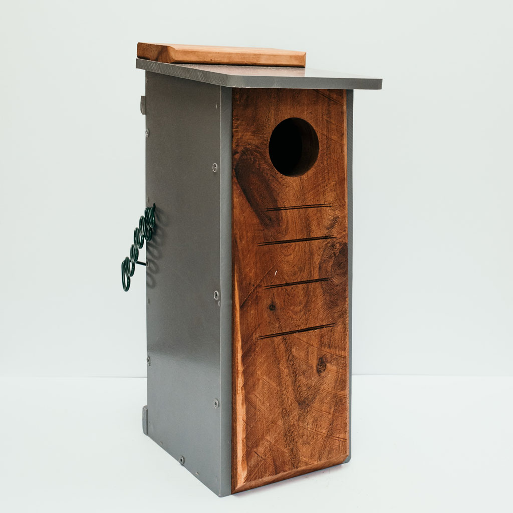 Smal Parrot Home 4