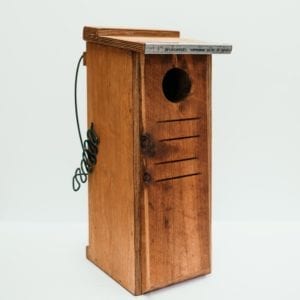 Small Parrot Plywood (5)