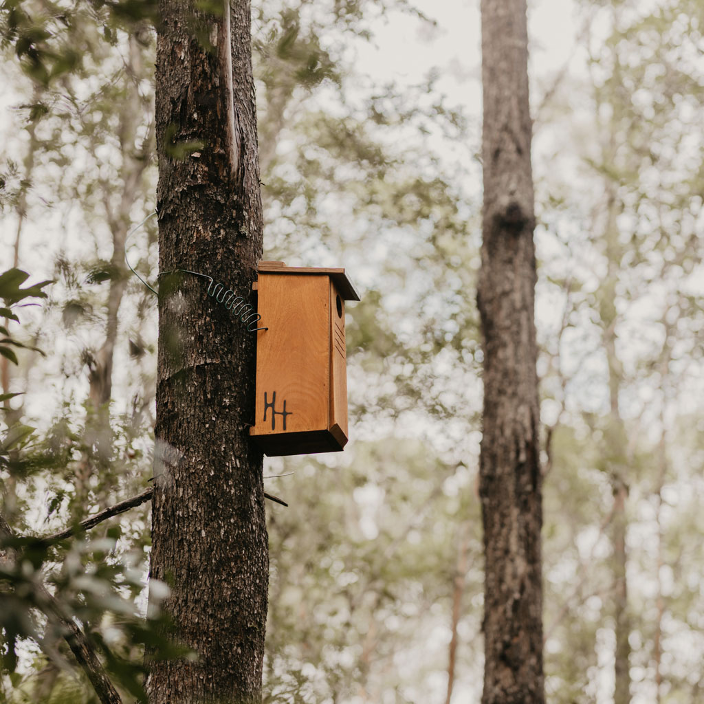 Hollow Log Homes Installation
