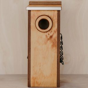 Owlet Nightjar Plywood Front