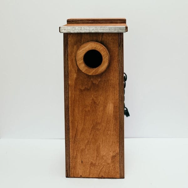 Timber Owlet Night Jar 1